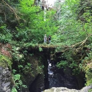 Meet your Posher, Akaa